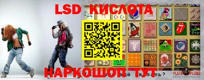 крисы Нальчик