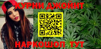 крисы Нальчик