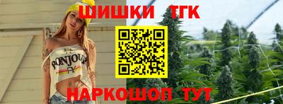 крисы Нальчик