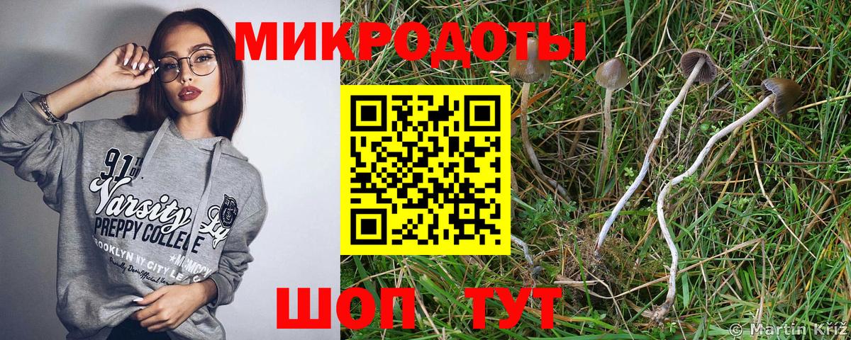 Сургут  Псилоцибиновые грибы Psilocybe  Вход с VPN 